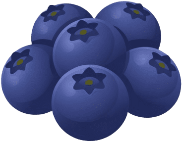Fruit Tile Blueberry