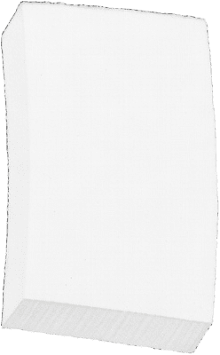 Brush Tip - Marker Chisel
