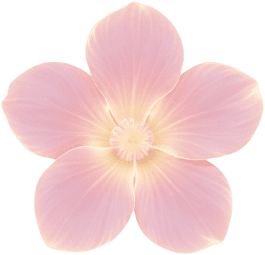 Match-3 piece Pink Flower Blossom