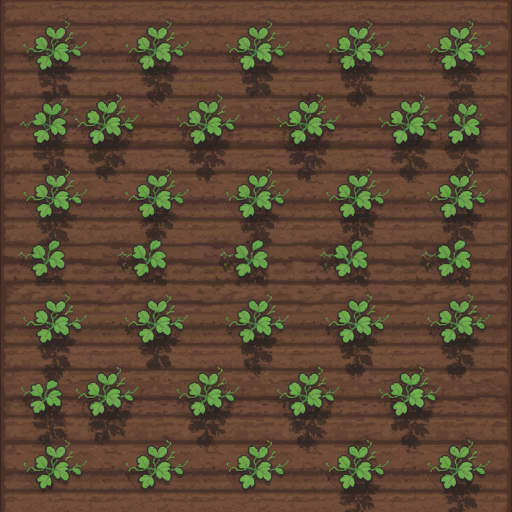 Watermelon Farm Plot