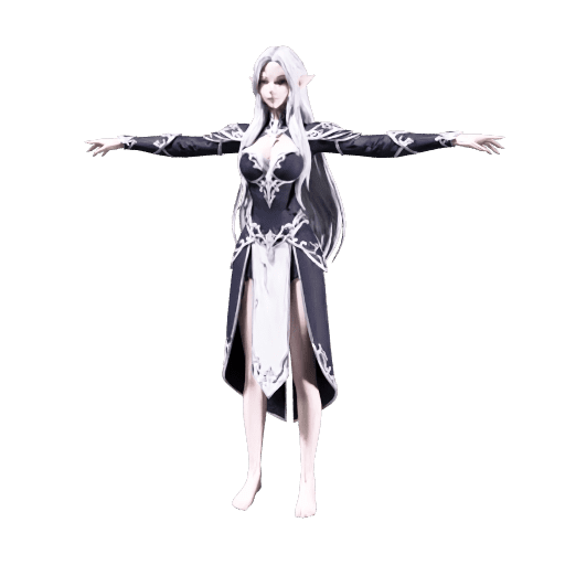 Elf Woman Warrior