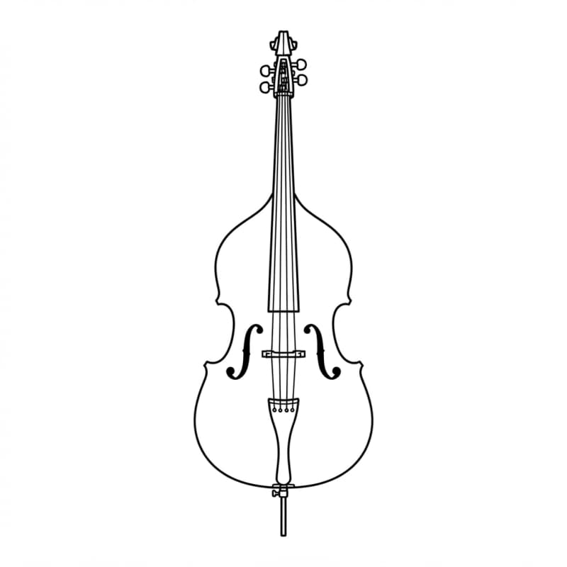 Image: A single DOUBLE BASS (upright orchestral bass) as 