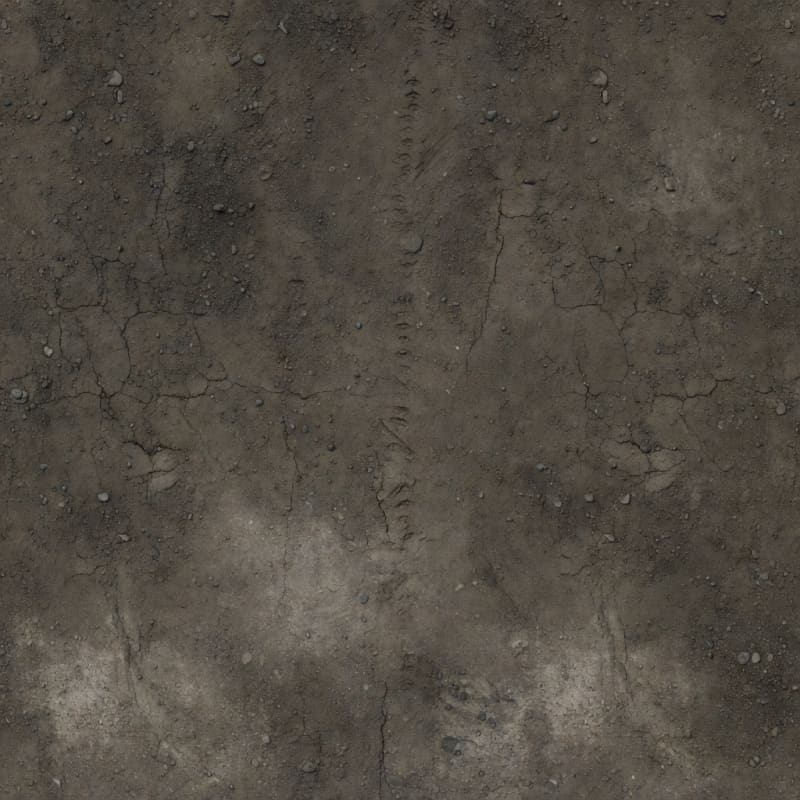 Packed Dirt Path Texture
