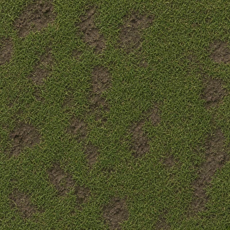 Seamless Grassy Mud Texture