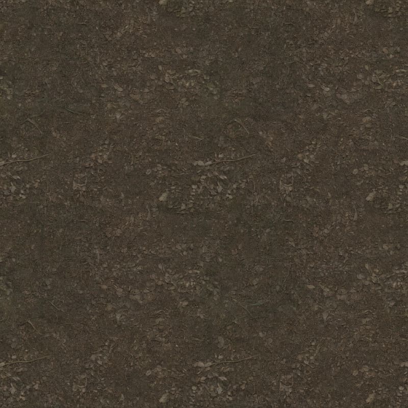 Terrain Albedo 02 - Forest Floor Dirt