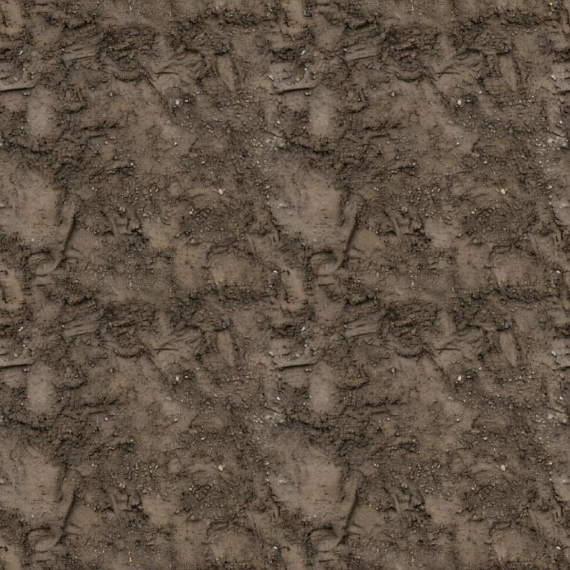 Rutted Packed Mud Earth