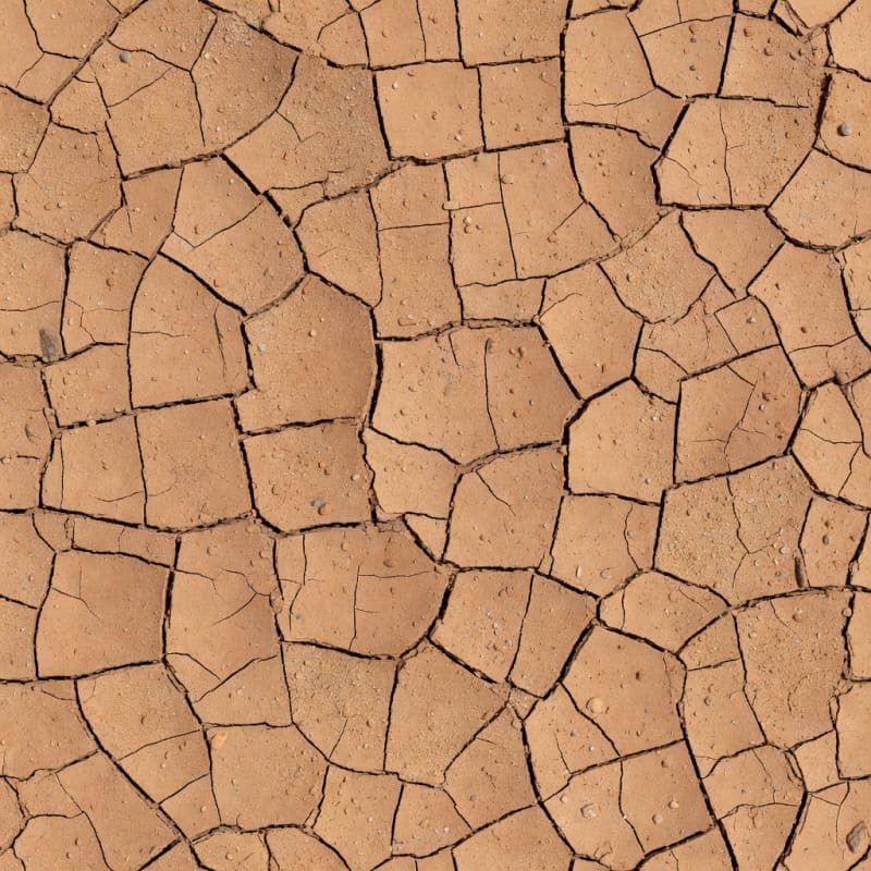Cracked Desert Earth Texture