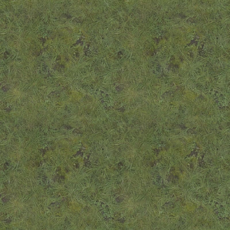 Seamless Meadow Grass Albedo
