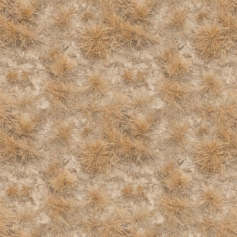 Seamless Dry Upland Grass Albedo