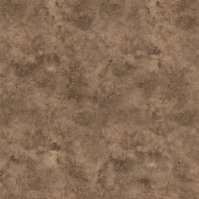 Seamless Dirt Packed Earth Albedo
