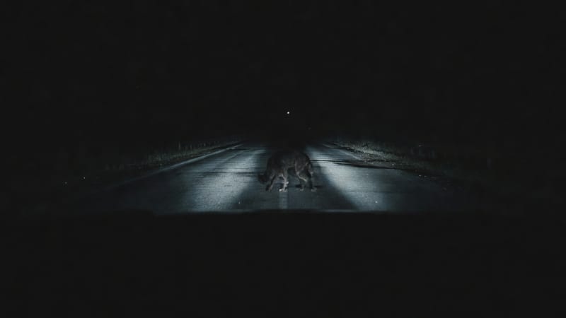 Ch1 Road Silhouette Night Backdrop
