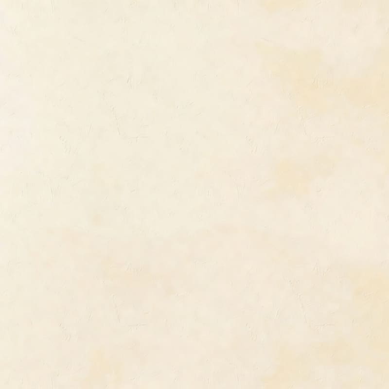 Apartment Wall Plaster Texture