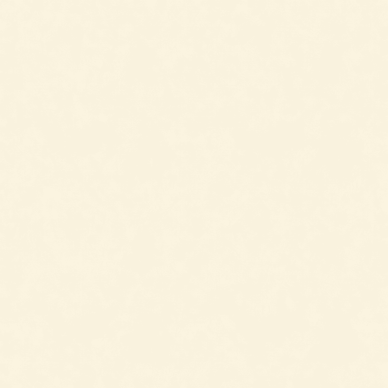Cream Plaster Wall Texture