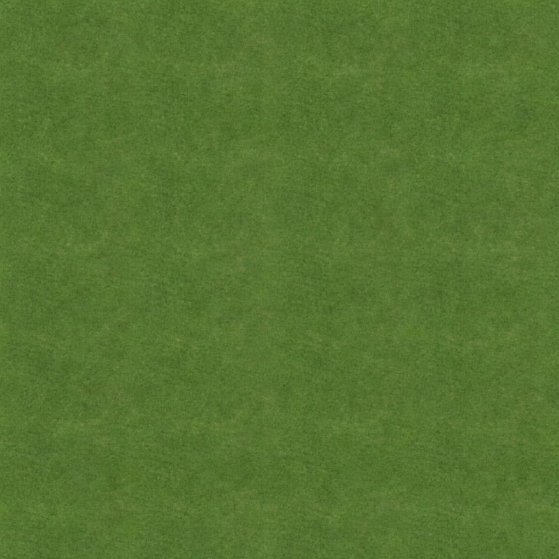 Natural Green Grass Texture