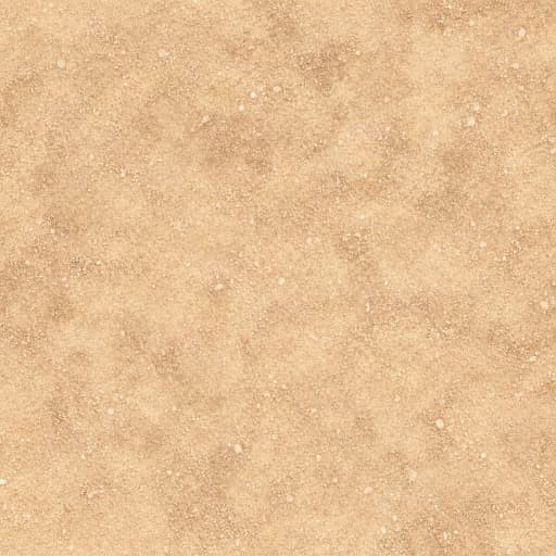 Sandy Dirt Road Texture