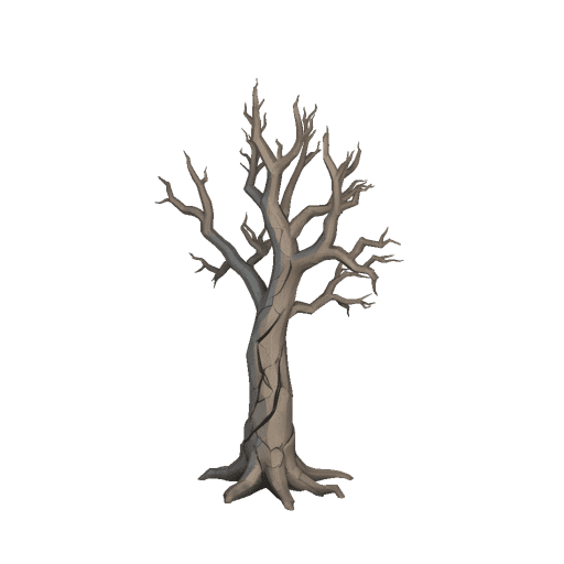 Dead Gnarled Tree