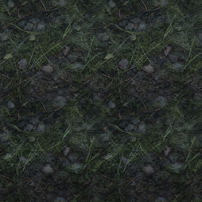 Image: Forest floor at first light, dewy dark grass and s