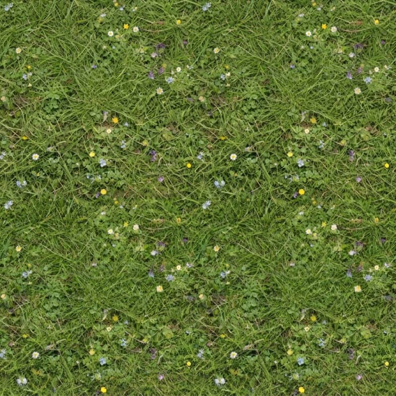 Image: Sunlit meadow ground, warm green grass, soft clove