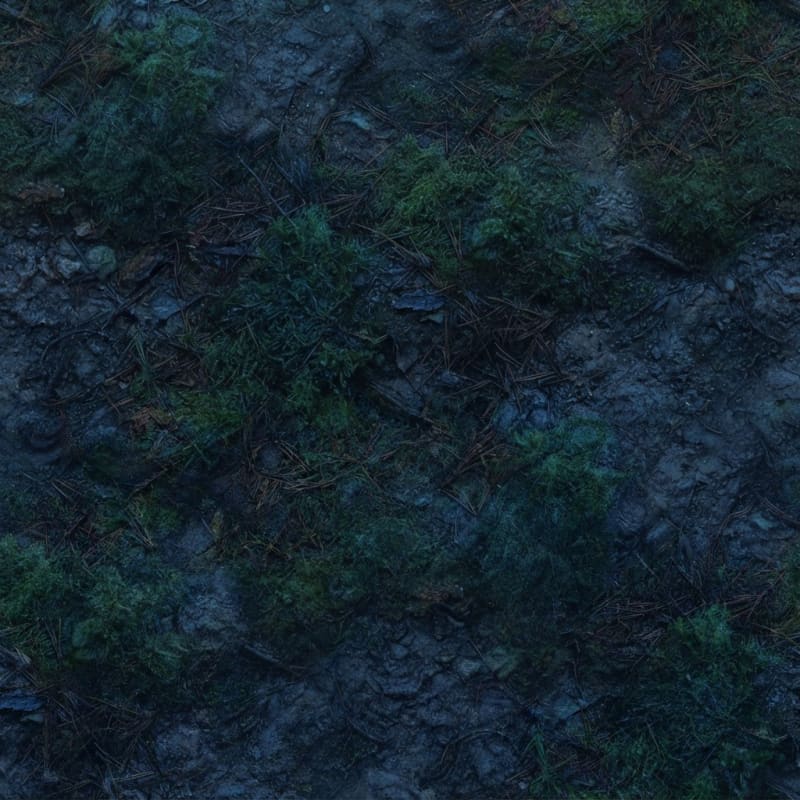 Image: Dark night forest floor, cold wet soil, pine needl