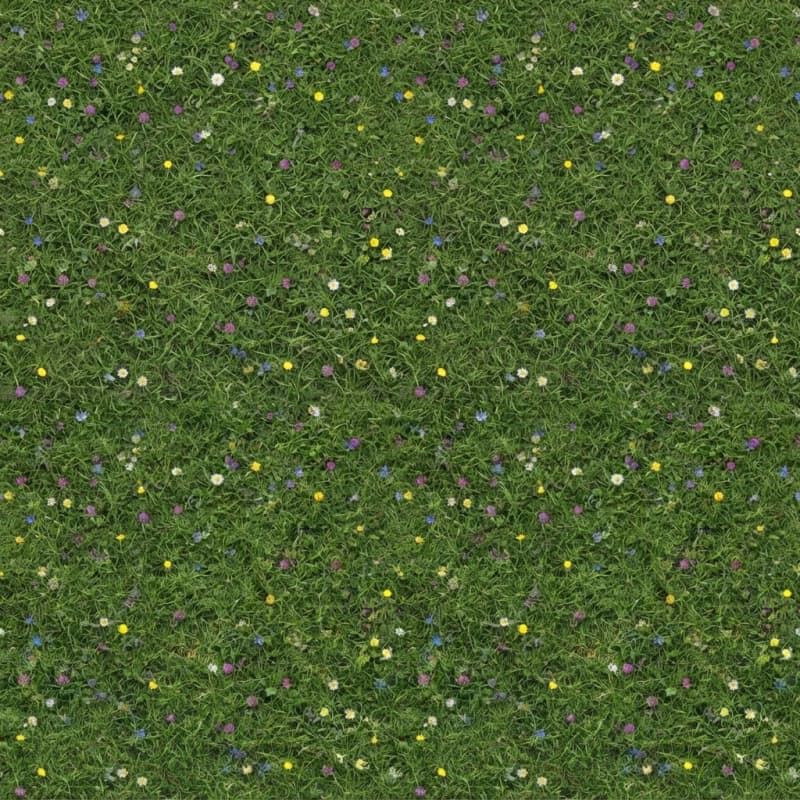 Flowering Grass Texture