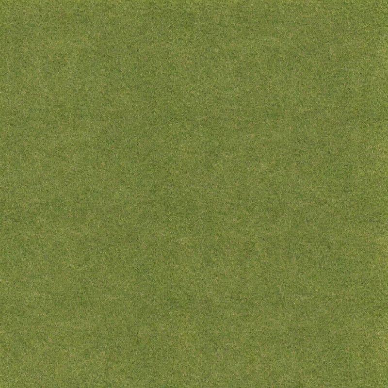 Realistic Grass Ground Albedo