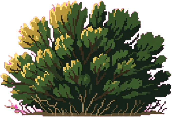 Desert Bush
