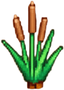 Dark Green Spiky Plant