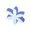 Snowflake C