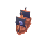 Ship Pirate Medium