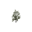 Tree Large