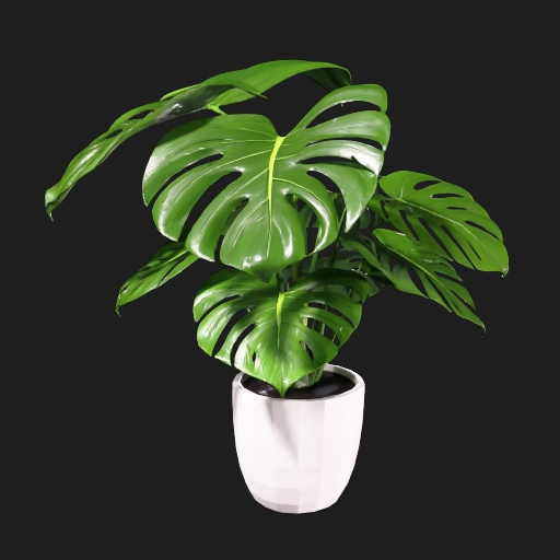 Realistic Potted Plant v2