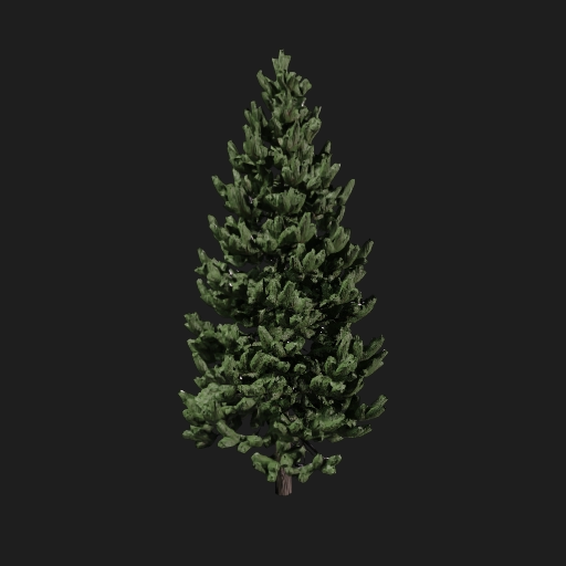 Eldor Pine Tree
