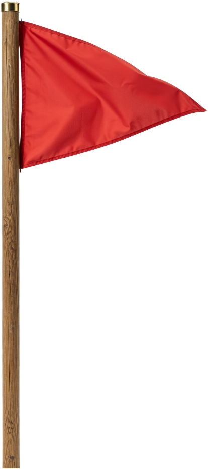 Goal Flag Realistic