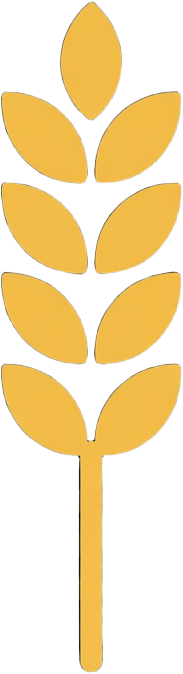 Icon Food