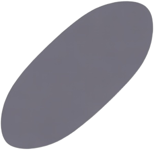 Bullet Shape Icon
