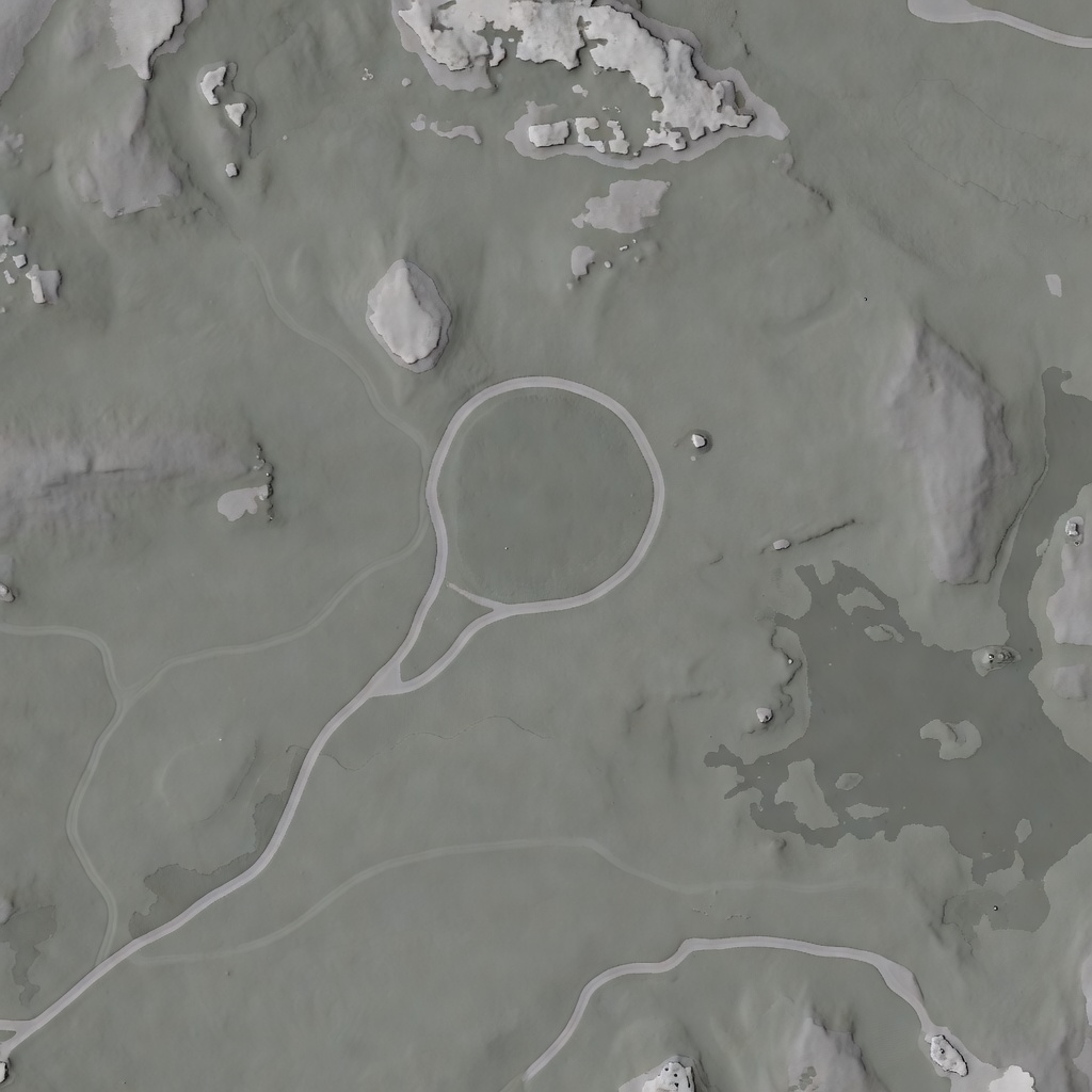 Northern Forest Terrain Height Map