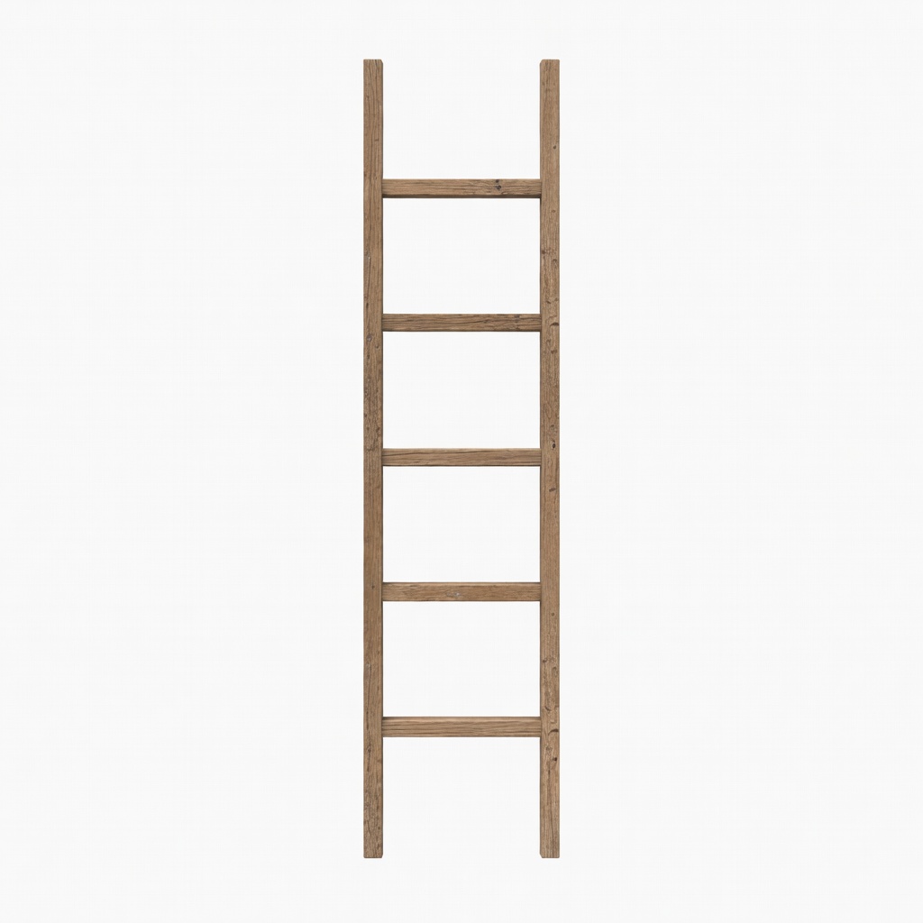 Wooden Ladder