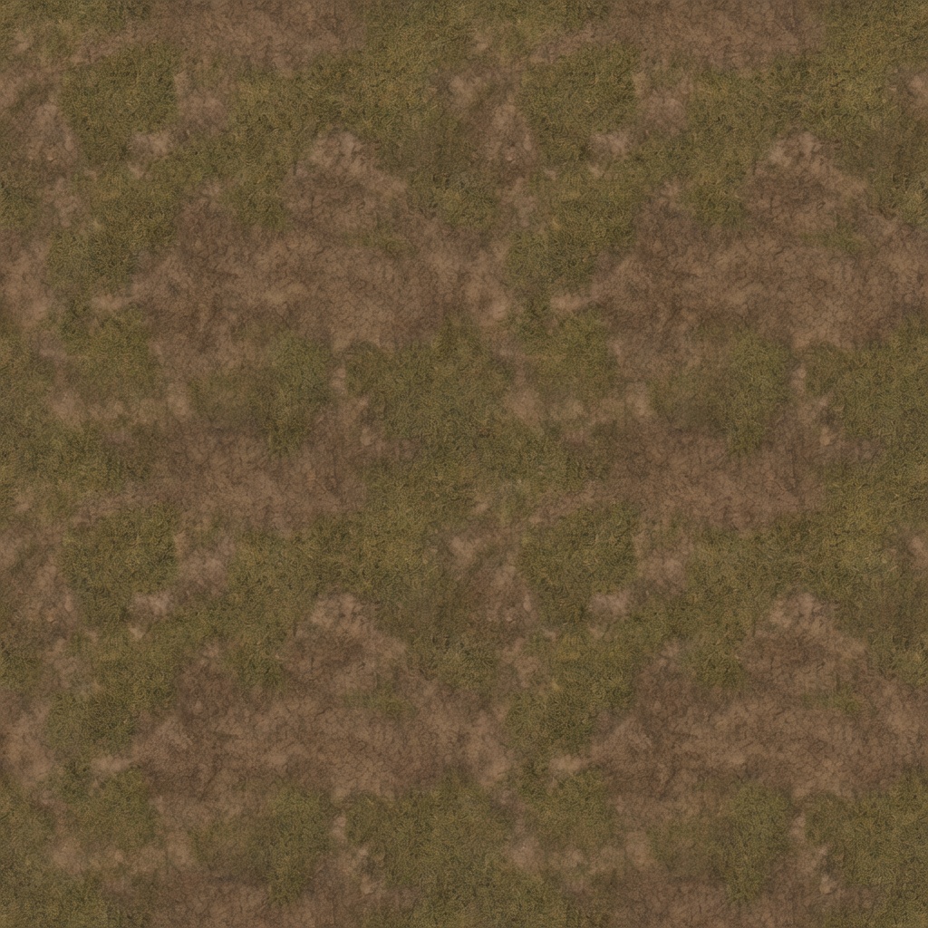 Medieval Dirt Grass Ground Texture