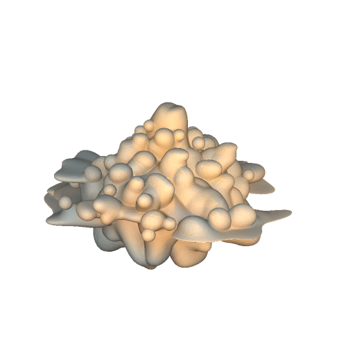 Cumulus Cloud Bank