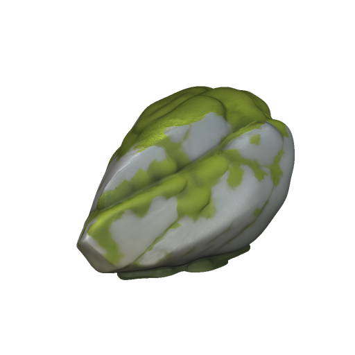 Mossy Rock Boulder