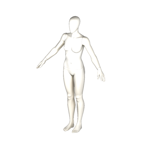 Female Body