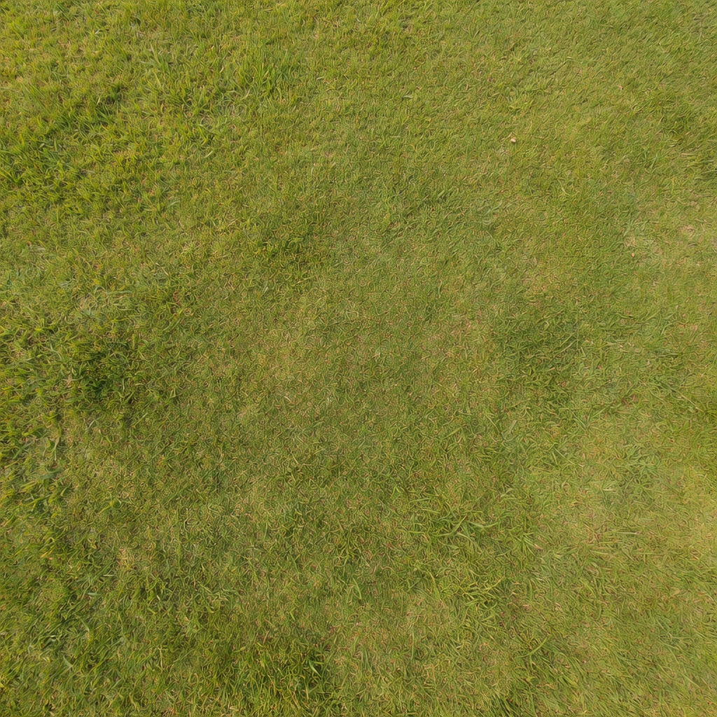 Ground Grass Texture