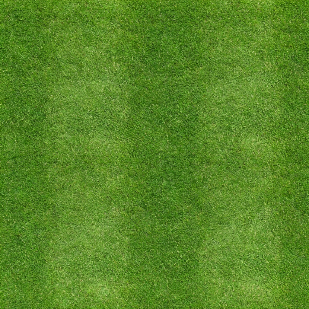 Lawn Grass Texture