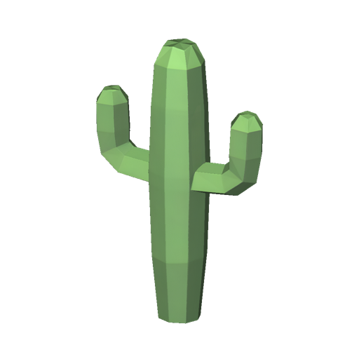 Desert Cactus