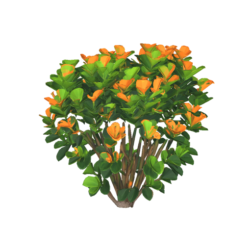 Jamaican Tropical Flowering Shrub