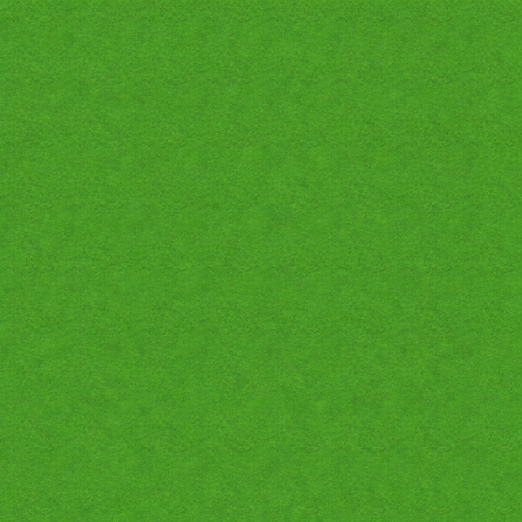 Grass Ground Texture