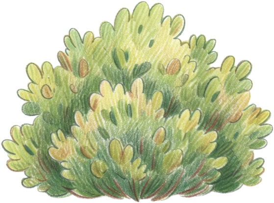 Hand-drawn bush obstacle (1 / 2)