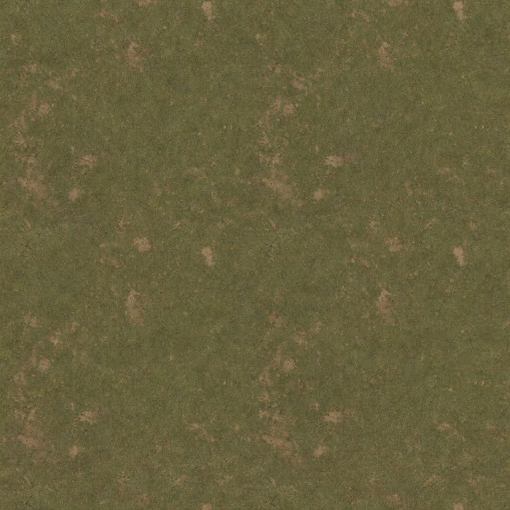 Grass Ground Texture