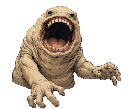 Custom Animation