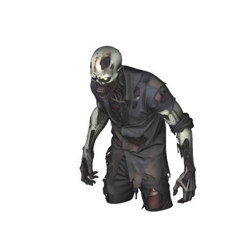 Zombie Enemy